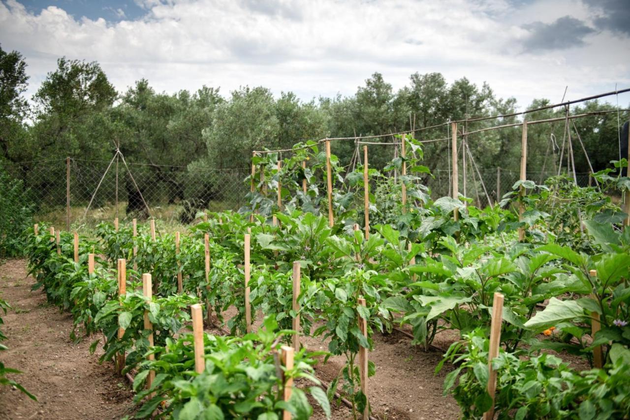 Ferienwohnung Agrikia Tis Vasilikis Ormília Exterior foto