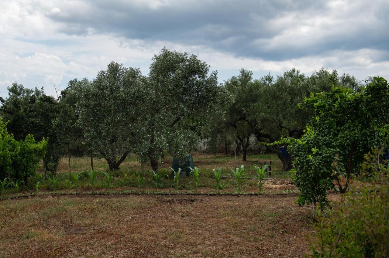 Ferienwohnung Agrikia Tis Vasilikis Ormília Exterior foto