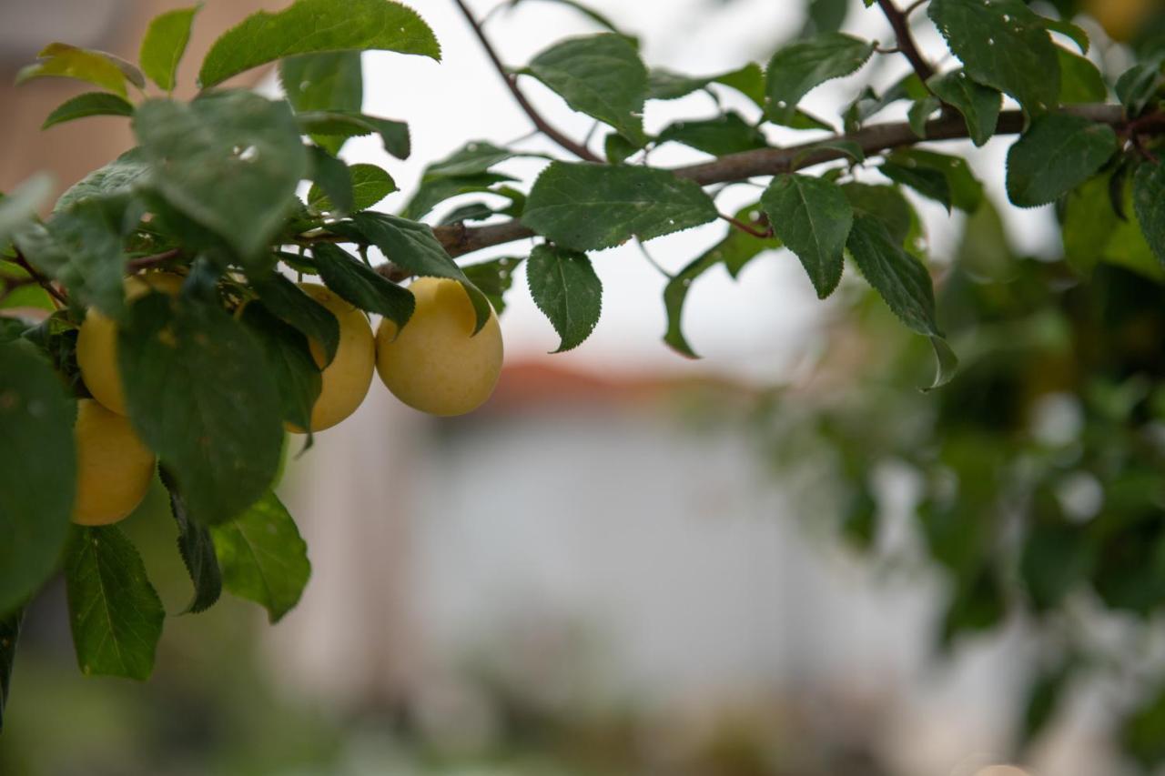 Ferienwohnung Agrikia Tis Vasilikis Ormília Exterior foto